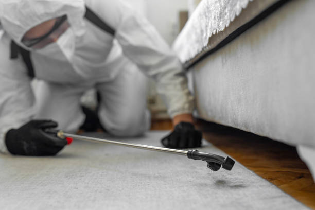 Professional Cockroach Control technician working in Woodland Beach, MI