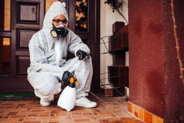 Reliable Cockroach Control contractor in Woodland Beach, MI by Nex Pest Control